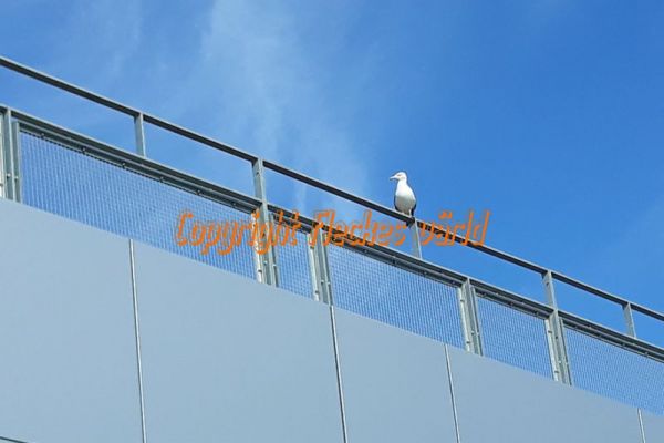 2018-08-06-16-02-3858C54C6F-4C3E-8A1C-493E-D3B4AEDCA4E8.jpg
