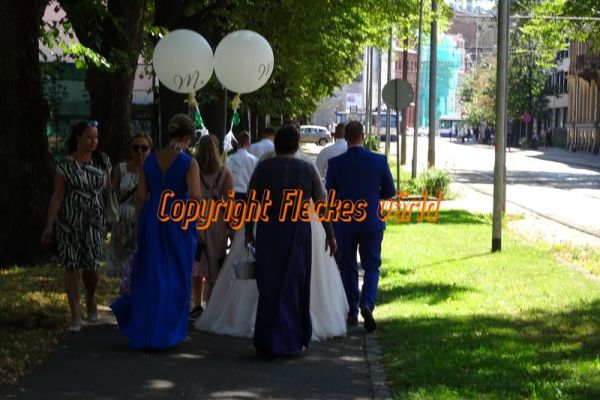 2018-08-08-12-16-15CE8374C1-DFEB-F7DB-C773-5477CE7A081E.jpg