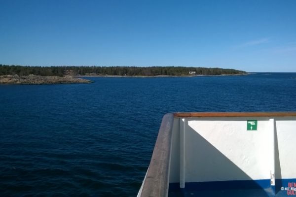 2016-04-01-15-10-33-0011F238B7A-5A49-4246-D657-7437B3D2D4C4.jpg